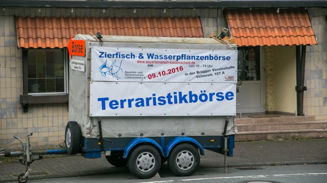 Boerse_2017-0035.jpg, 80kB