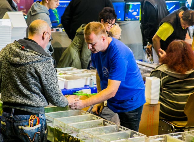 Boerse_2017-0084.jpg, 123kB