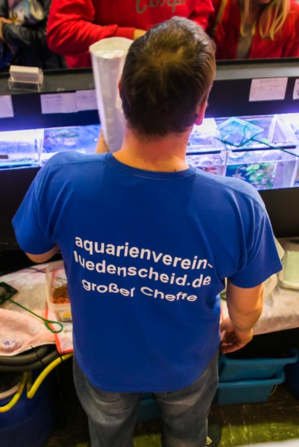 Boerse_2017-0142.jpg, 85kB